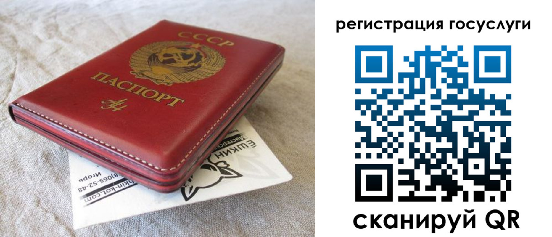 регистрация для школы в Павловске