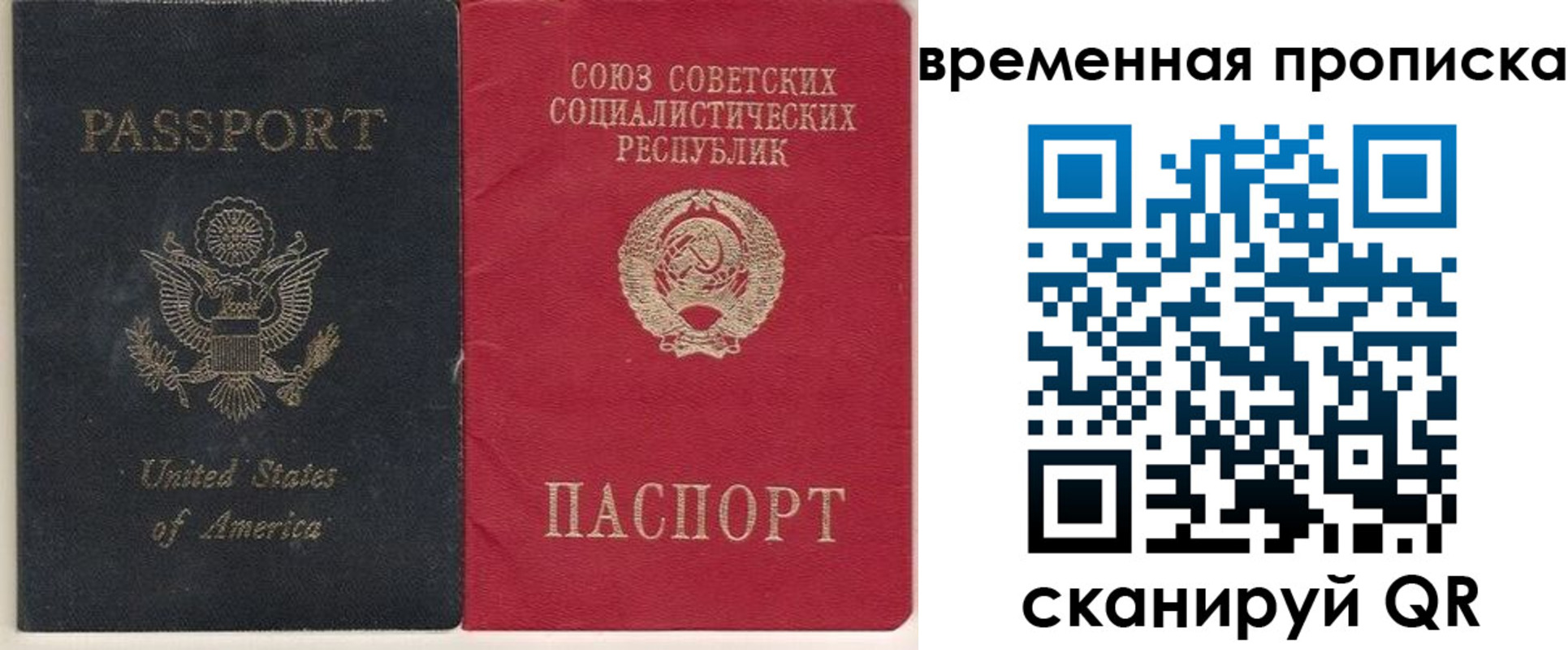 прописка для школы в Павловске